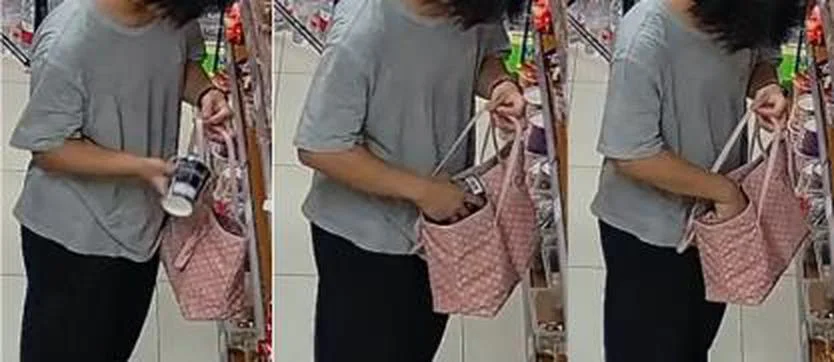 Skynet AI recognition: handbag